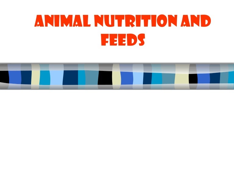 21 animal nutrition and feeds