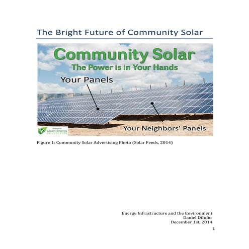 Diiulio - The Bright Future of Community Solar