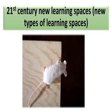21 century learning spaces 
