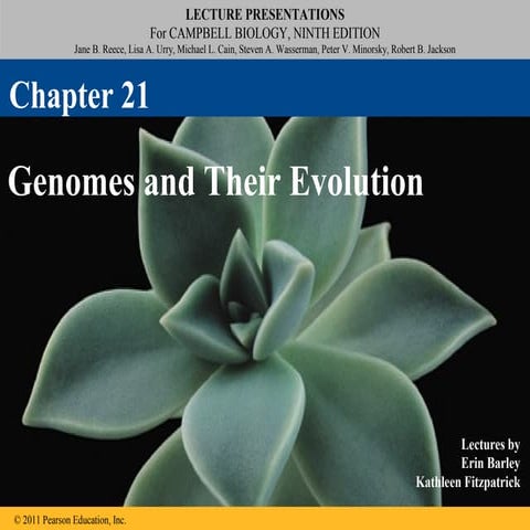 21 lecture genome_and_evolution