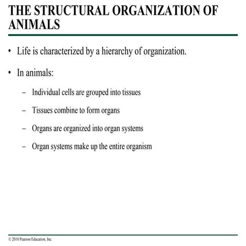 Animal organ systems | PPTX
