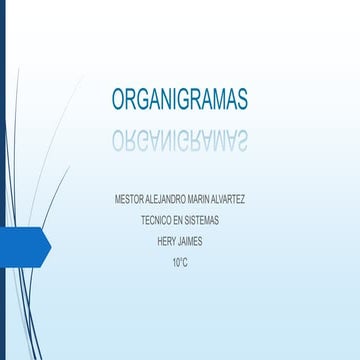 21 marin alejandro organigramas