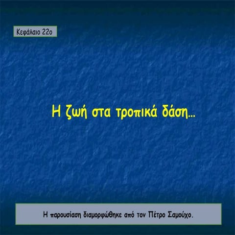 22. η ζωή στα τροπικά δάση