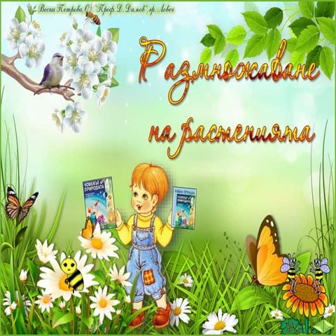 22. Размножаване на растенията - ЧП, 4 клас, Булвест