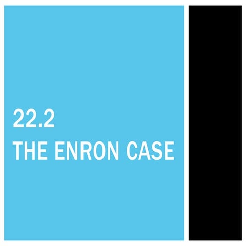 22.2 The Enron case