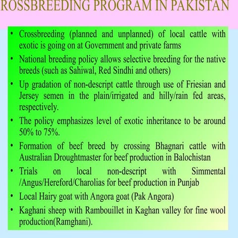 Comprehensive Crossbreeding Program and Genetic Improvement of ...
