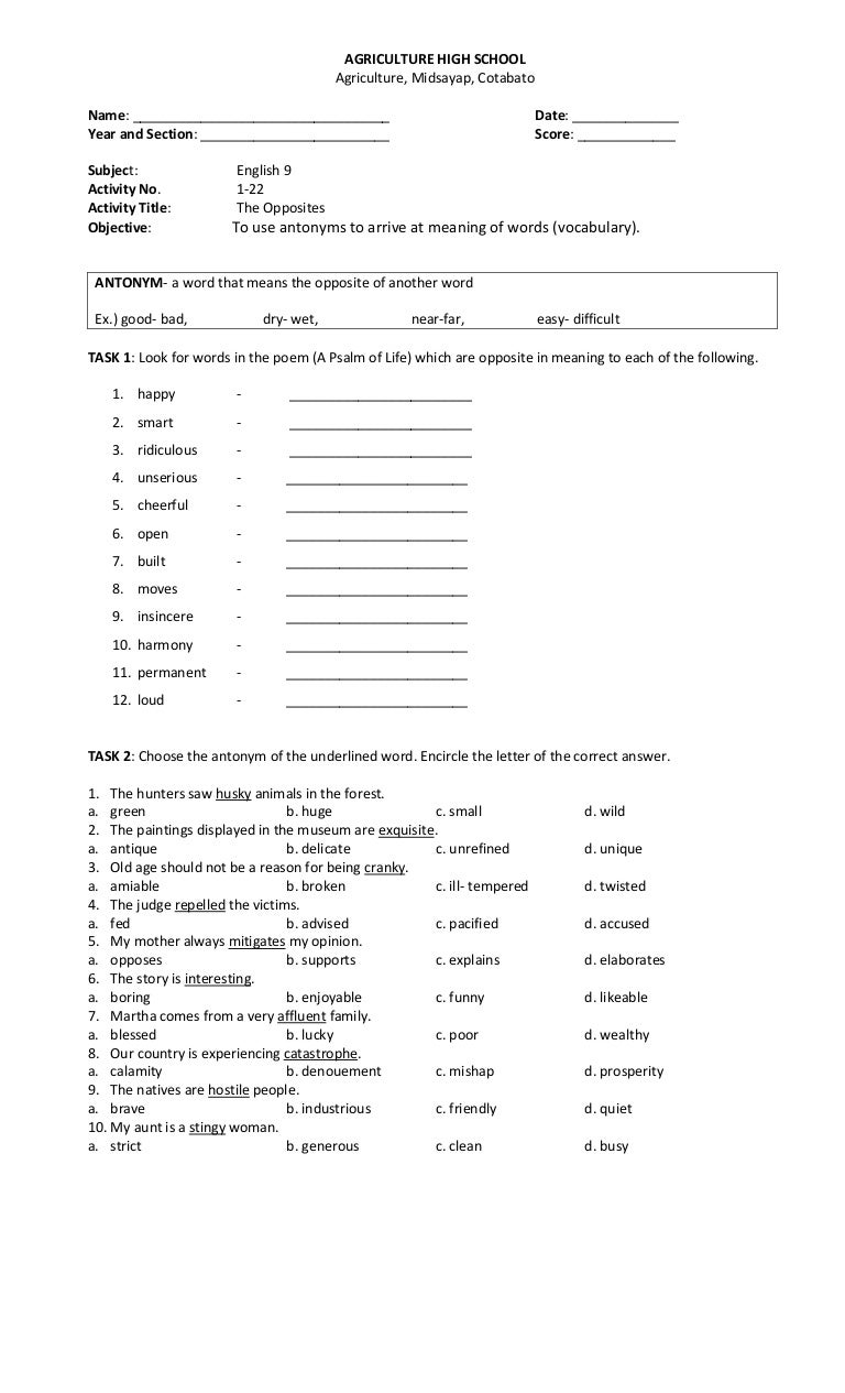 Worksheet Organized Antonym 22 antonyms