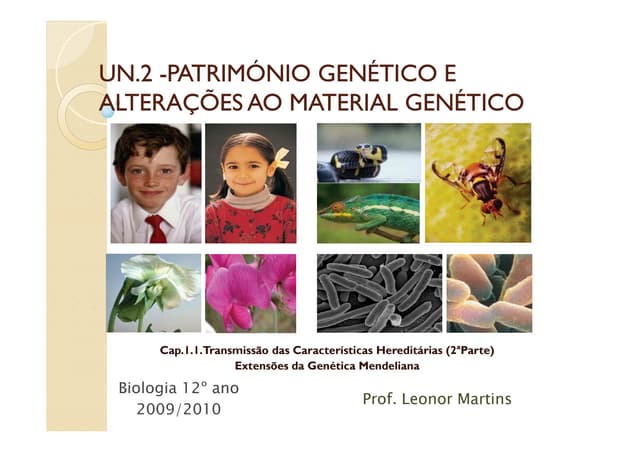 22 ExtensõEs Da Genetica Mendeliana