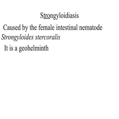 22-Strongyloides presentation in microbiology | PPTX