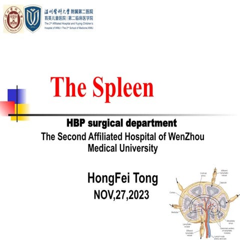 Spleenectomy | PPT