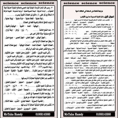 الدعامة(2)نهائية  2015