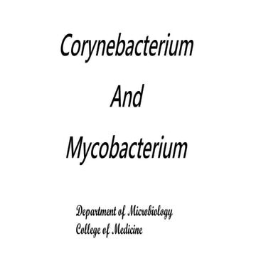 2_2023_04_04!10_59_21_AM.pptx