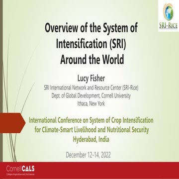 2203 - Overview of System of Rice Intensification SRI Around the World