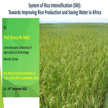 2204 -System of Rice Intensification - Improving Rice Production and Saving W...