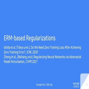 220825 지승현 ERM-based regularization.pdf
