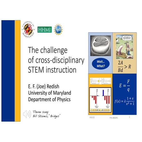 The challenge of cross-disciplinary STEM instruction