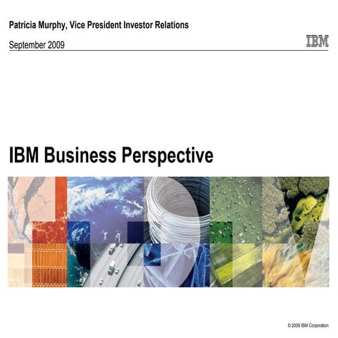 IBM Business Perspective