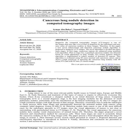 Cancerous lung nodule detection in computed tomography images