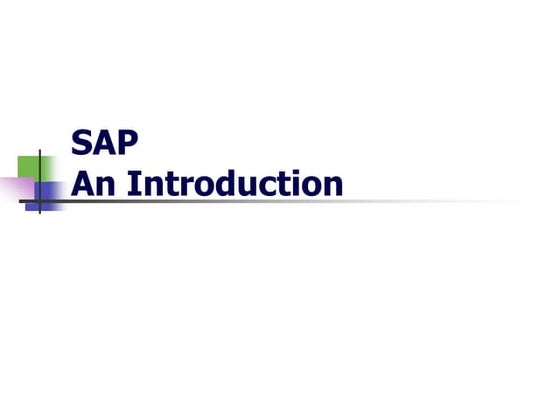 SAP Security & GRC Framework