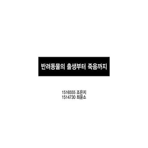 반려동물의 출생부터 죽음까지 