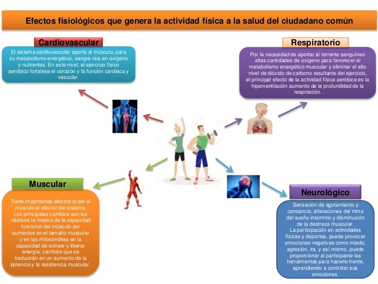 Efectos fisiológicos que genera la actividad física a la salud del ci…