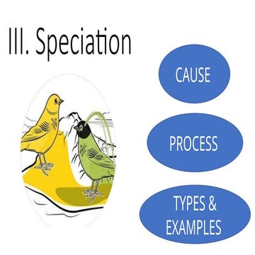 SPECIATION OF SPECIES AND ORGANISMS.pptx