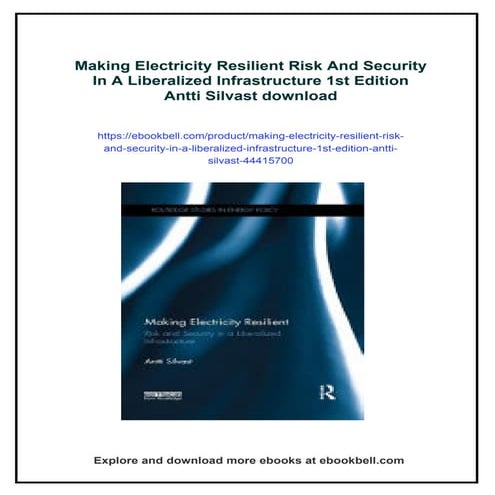 Making Electricity Resilient Risk And Security In A Liberalized ...