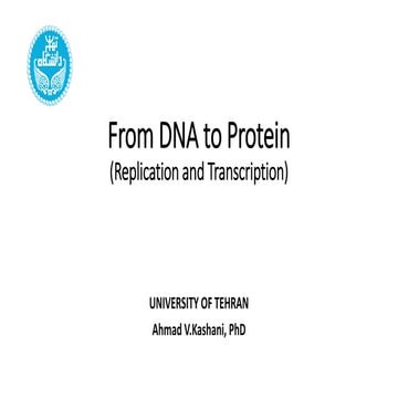 15 - From DNA to Protein - Part I