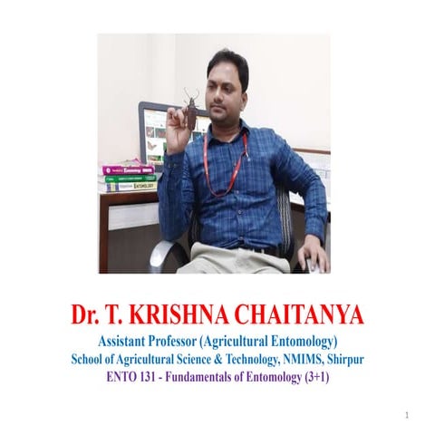 Tropism in insects &amp; insect communication