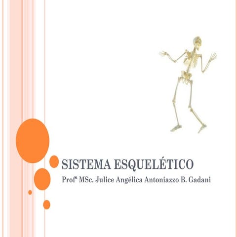 Comprehensive Overview of the Human Skeletal System: Structure ...