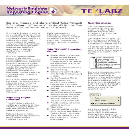 Reporting and Business Insight Brochure