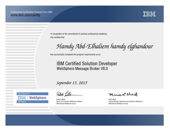 IBM Certified Associate Developer | PDF