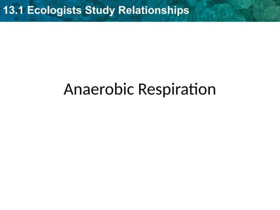 Anaerobic Respiration | PPT