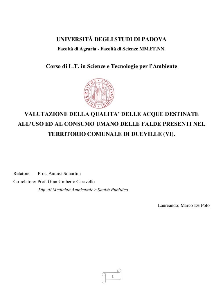 Phd dissertation picture