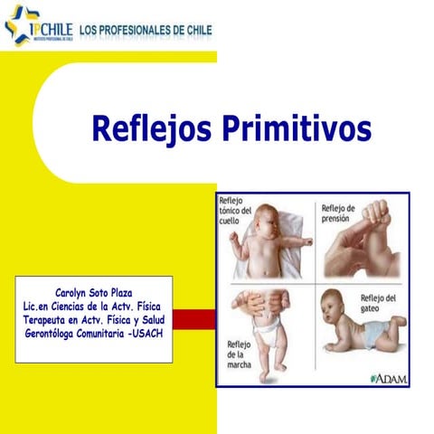 224474368-Reflejos-Primitivos.ppthhnhhnh | PPT
