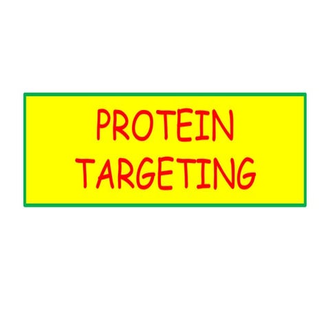 PROTEIN TARGETING