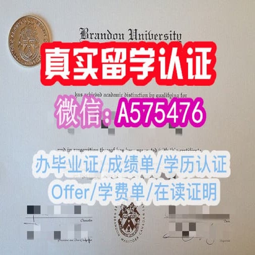 Queensland University of Technology degree offer diploma Transcript | PPT