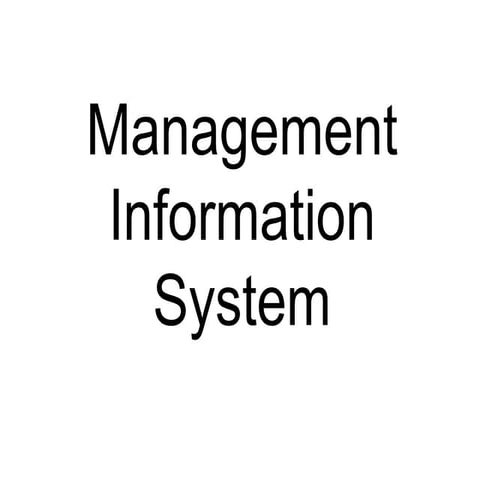 22830802 management-information-system