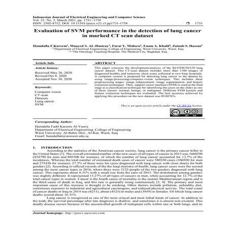 Evaluation of SVM performance in the detection of lung cancer  in marked CT s...