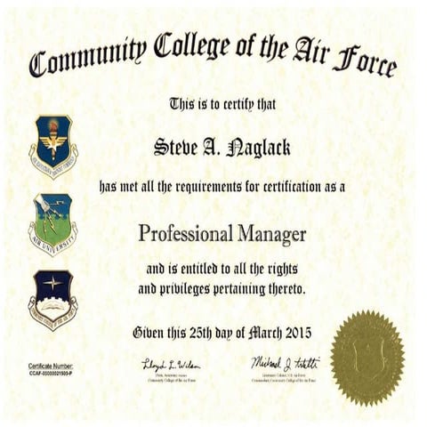 Professional Manager | PPTX