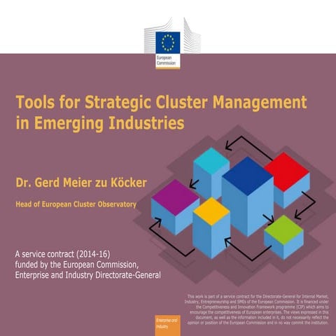Tools for Strategic Cluster Management in Emerging Industries