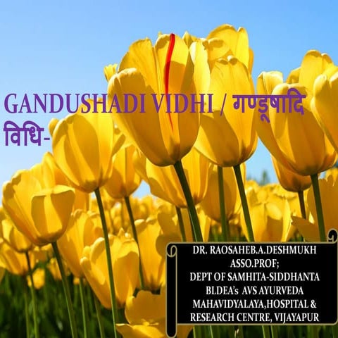   THEORY OF GANDUSHA & MUKHA LEPA