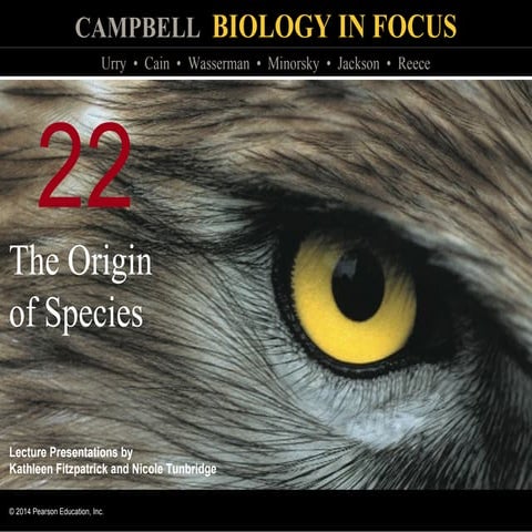 Biology in Focus - Chapter 22