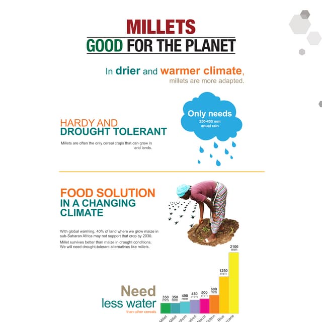Millets - Good For The Planet