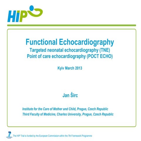 Functional Echocardiography. Targeted neonatal echocardiography (TNE ...