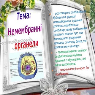 23 немембранні органели.