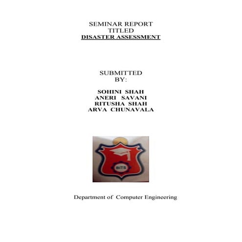 Disaster assessment pdf