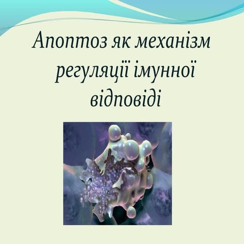 Апоптоз як механізм регуляції імунної відповіді