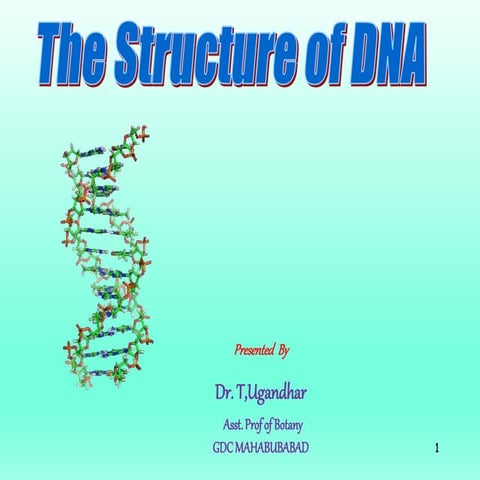 DNA structure