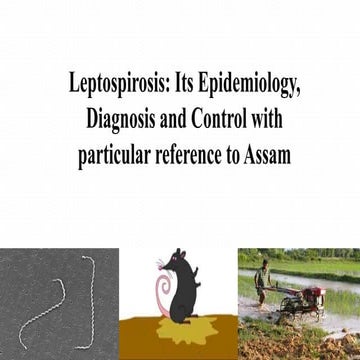 Leptospirosis: Its Epidemiology,  Diagnosis and Control 